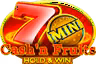 cashn-fruits-hold-and-win